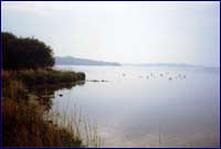 Image of Lough Neagh