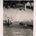 Taken whilst horse riding near Tel Aviv. On leave in Palestine September 1943