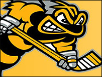 Bracknell Bees logo
