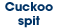 Cuckoo spit
