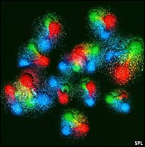 Maddenin en küçük parçacıkları kuarklar