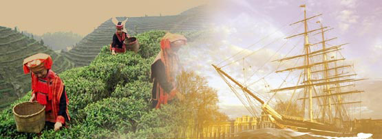 S čajem kolem světa