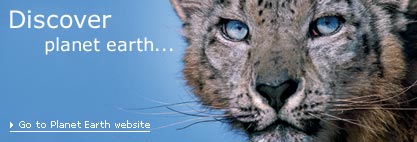 Sun exploding towards Earth