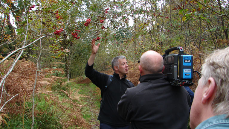 Derek chats about the berries