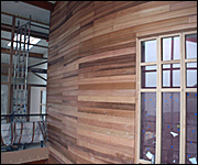 Interior cedar wall of ecoDepot