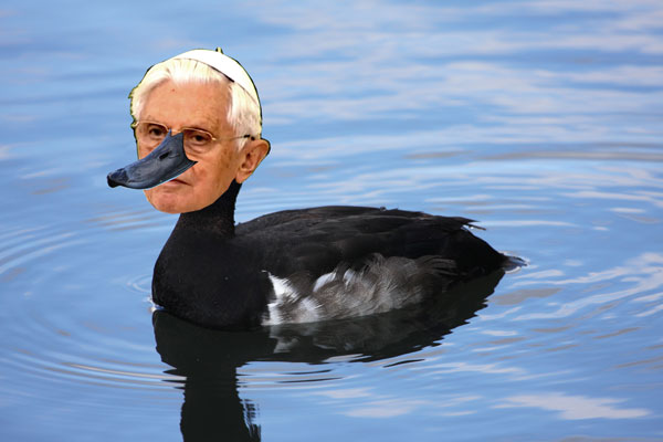 A duck with the Pope's face.