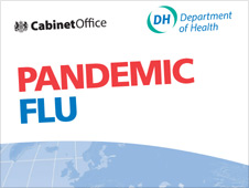 government's pandemic plan from November 2007