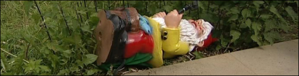 Badgers attack our gnomecam :-(