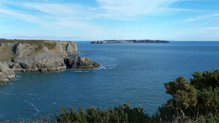 Caldey Island by Tracey Cole
