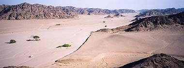 Namib desert