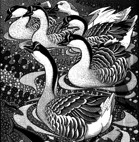 Colin See-Paynton's engraving Gaggle of Geese II. Image © the artist, courtesy of Oriel Ynys Môn.