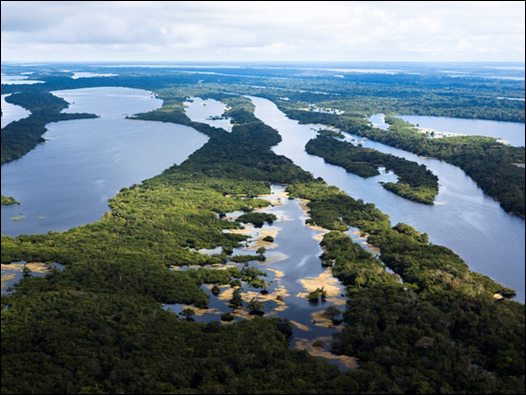 Archipiélago de Anavilhanas. Foto: Daniel Beltrá