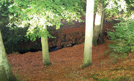 BBC Radio Foyle - Breathing Places Gallery