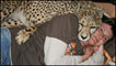 Riana van Nieuwenhuizen e um guepardo (Foto: Cheetah Experience)