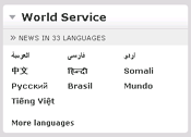 world_service_widget.png