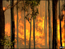 A bushfire burns out of control in the Kiewa Valley towards the town of Dederang in the Victoria Alps 