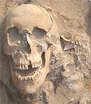 a skull buried in earth