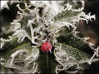Hard frosts are expected over winter