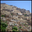 دغرونوکورونوته لارې