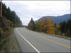 عکس از پدرام دارايی زاده