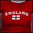 طرفدار تيم انگليس
