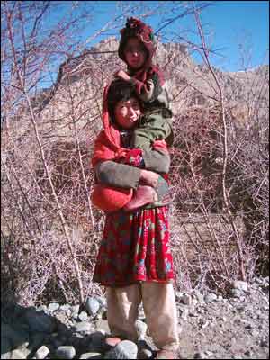 نجيب الله دهزاد