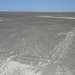 The Nasca Lines