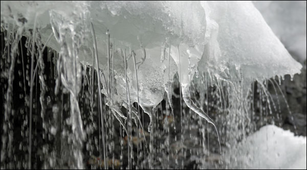 ice_600.jpg