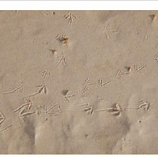 Review of 13 Friendly Numbers