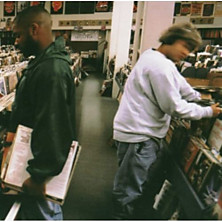 Review of Endtroducing…