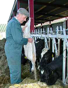 77 year old Robert McConaghy