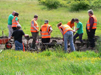 Volunteers at Hogganfield Park