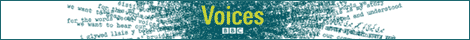 Voices graphic - mini banner 