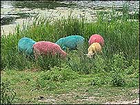 Multi-coloured sheep