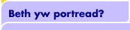 Beth yw portread?