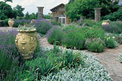 The Dutch Garden at Hestercombe