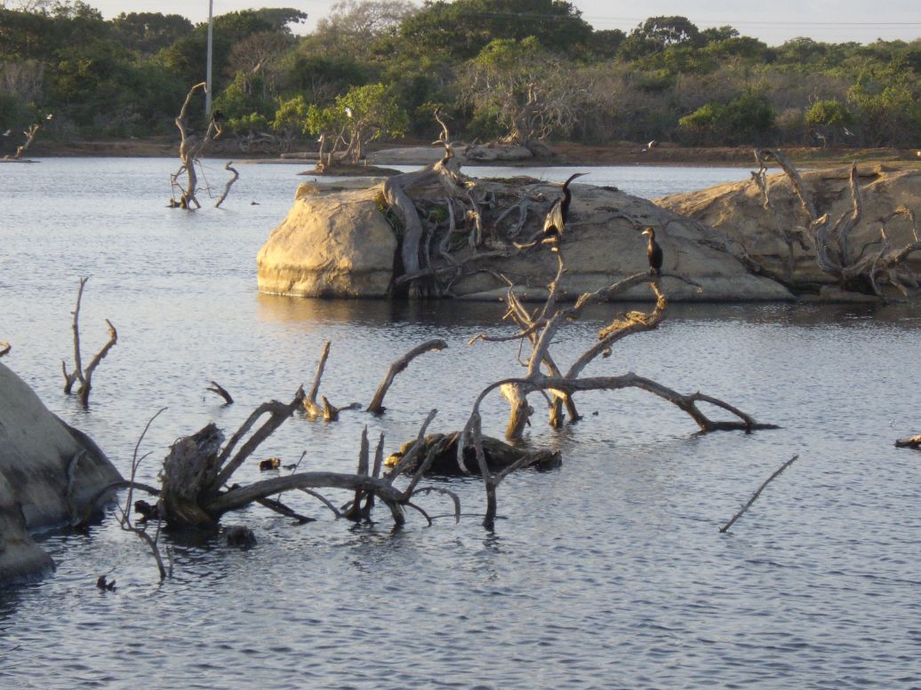 approach to the resort