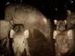 Kashmira Kakati / BBC Wildlife Magazine