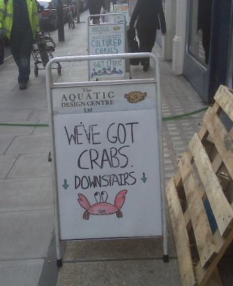 crabs-london.jpg