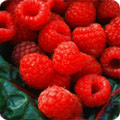 Raspberries