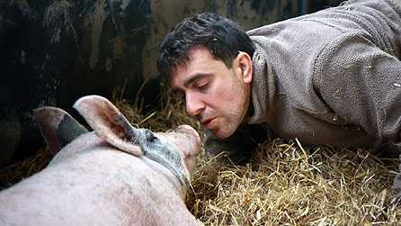 My Life As An Animal