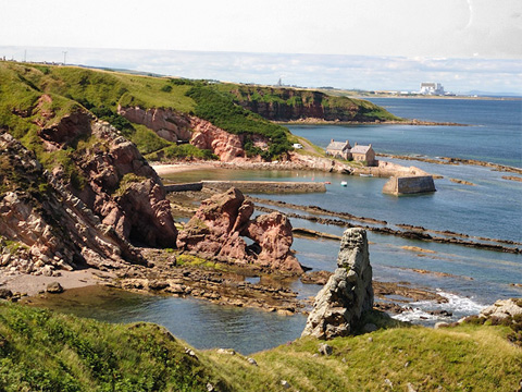 Colour view looking down from cliffs to small harbour with buildings at Cove. Torness Power Station can be seen in the distance.