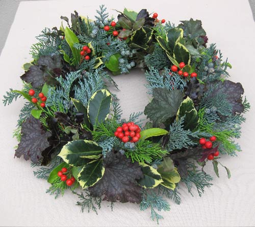 add holly and pittosporum to fill any gaps