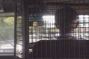 John slips the question