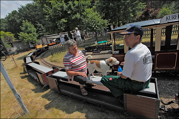 Люди катаются на игрушечном паровозе