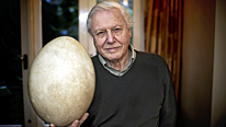 David Attenborough returns to Madagascar to find out more about the "elephant bird"