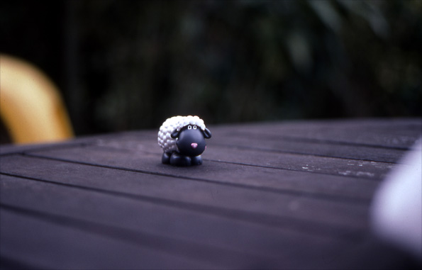 Photo by Phil Coomes