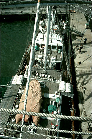 The Nelson from aloft