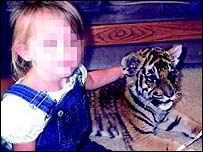 عکس توله ببر در کنار دختر بچه در وب سايتی که حيوان را عرضه می کرد منتشر شد - عکس از آيفا