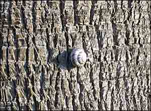 عکس از عليرضا پناهی 